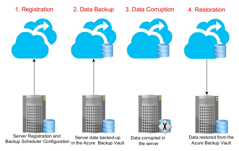 bitwarden backup vault